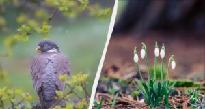 Свято 6 березня в Україні: який сьогодні є обряд для поминання померлих Свято-6-березня-в-Україні:-який-сьогодні-є-обряд-для-поминання-померлих