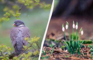 Свято 6 березня в Україні: який сьогодні є обряд для поминання померлих Свято-6-березня-в-Україні:-який-сьогодні-є-обряд-для-поминання-померлих