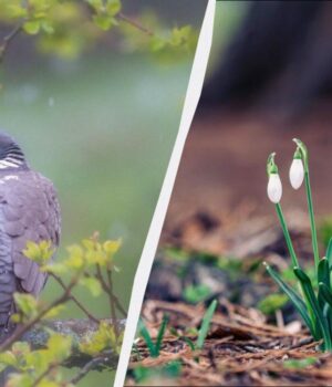 Свято-6-березня-в-Україні:-який-сьогодні-є-обряд-для-поминання-померлих