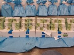 Угорщина показала конфісковані мільйони та золото затриманих українців (фото) Угорщина-показала-конфісковані-мільйони-та золото-затриманих-українців-(фото)