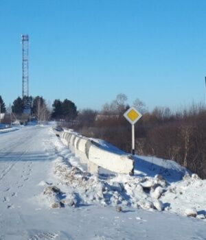 Нащадки-українців-Зеленого-Клину-приходять-на-землі-своїх-предків-окупантами