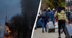 “Ми почали жити, а не виживати”: українці масово переїжджають у села через атаки РФ “Ми-почали-жити,-а-не-виживати”:-українці-масово-переїжджають-у-села-через-атаки-РФ