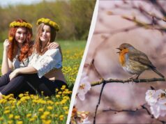 11 березня є велике професійне свято: що категорично не можна готувати 11-березня-є-велике-професійне-свято:-що-категорично-не-можна-готувати