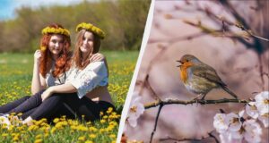 11 березня є велике професійне свято: що категорично не можна готувати 11-березня-є-велике-професійне-свято:-що-категорично-не-можна-готувати