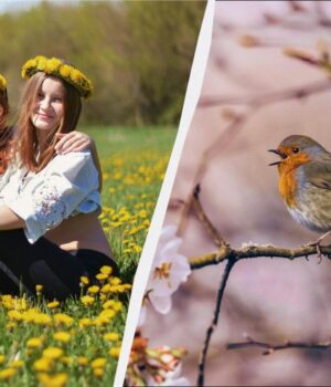 11-березня-є-велике-професійне-свято:-що-категорично-не-можна-готувати