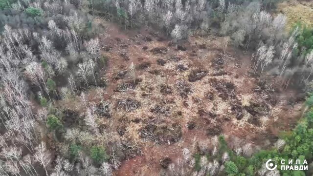 Офіс Генпрокурора розслідує, як посадовці волинської громади віддали ліс в оренду під виглядом пасовища Офіс-Генпрокурора-розслідує,-як-посадовці-волинської-громади-віддали-ліс-в-оренду-під-виглядом-пасовища