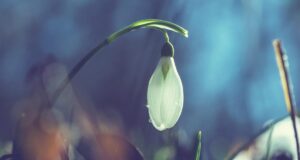 Перед вихідними сонце розігріє Україну до +17° Перед-вихідними-сонце-розігріє-Україну-до-+17°