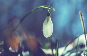 Перед вихідними сонце розігріє Україну до +17° Перед-вихідними-сонце-розігріє-Україну-до-+17°