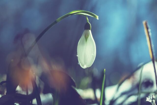 Перед вихідними сонце розігріє Україну до +17° Перед-вихідними-сонце-розігріє-Україну-до-+17°