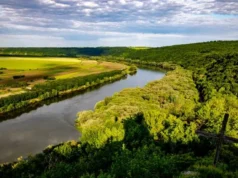 Удар РФ по Дністровській ГЕС спричинив екологічну загрозу Удар РФ по Дністровській ГЕС спричинив екологічну загрозу