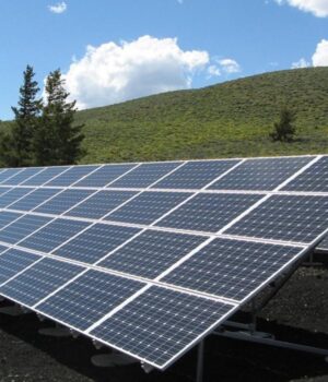 Не-для-прикраси:-для-чого-потрібні-білі-лінії-на-сонячних-панелях