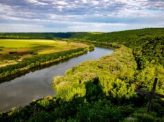 Екологічна загроза для Молдови через забруднення Дністра після атаки РФ на ГЕС Росія отруїла ріку в двох країнах: Україна готує звернення до ООН