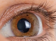 В Іспанії з луски риб створили штучну рогівку ока: вона може стати альтернативою донорської В-Іспанії-з-луски-риб-створили-штучну-рогівку-ока:-вона-може-стати-альтернативою-донорської