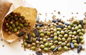 Насіння яких культур потрібно замочувати перед посадженням: візьміть собі на замітку Насіння-яких-культур-потрібно-замочувати-перед-посадженням:-візьміть-собі-на замітку