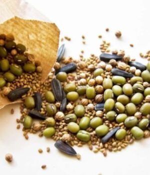 Насіння-яких-культур-потрібно-замочувати-перед-посадженням:-візьміть-собі-на замітку