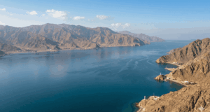 Трамп про Ормузьку протоку: Країни, які отримують нафту, повинні брати участь у операції США Трамп-про-Ормузьку-протоку:-Країни,-які-отримують-нафту,-повинні-брати-участь-у операції-США