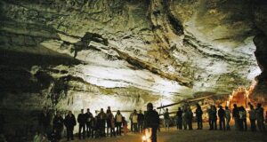 Ця 686-кілометрова печера не схожа на жодну іншу: у ній мешкають унікальні тварини Ця-686-кілометрова-печера-не-схожа-на-жодну-іншу:-у-ній-мешкають-унікальні-тварини