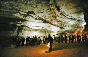 Ця 686-кілометрова печера не схожа на жодну іншу: у ній мешкають унікальні тварини Ця-686-кілометрова-печера-не-схожа-на-жодну-іншу:-у-ній-мешкають-унікальні-тварини