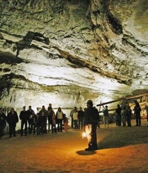 Ця-686-кілометрова-печера-не-схожа-на-жодну-іншу:-у-ній-мешкають-унікальні-тварини