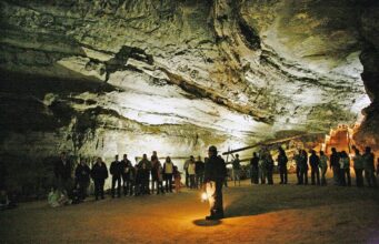 Ця 686-кілометрова печера не схожа на жодну іншу: у ній мешкають унікальні тварини Ця-686-кілометрова-печера-не-схожа-на-жодну-іншу:-у-ній-мешкають-унікальні-тварини