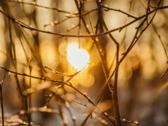 Чи буде магнітна буря 16 березня: прогноз на сьогодні Чи-буде-магнітна-буря-16-березня:-прогноз-на-сьогодні