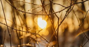 Чи буде магнітна буря 16 березня: прогноз на сьогодні Чи-буде-магнітна-буря-16-березня:-прогноз-на-сьогодні