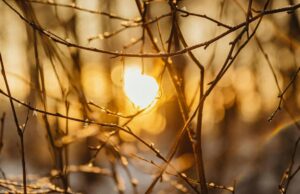 Чи буде магнітна буря 16 березня: прогноз на сьогодні Чи-буде-магнітна-буря-16-березня:-прогноз-на-сьогодні