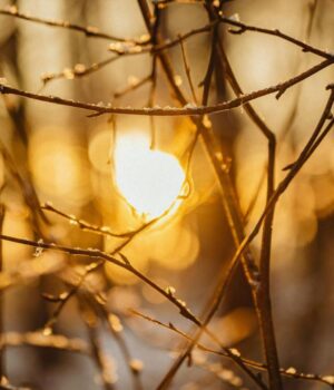 Чи-буде-магнітна-буря-16-березня:-прогноз-на-сьогодні