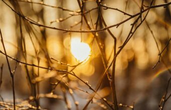 Чи буде магнітна буря 16 березня: прогноз на сьогодні Чи-буде-магнітна-буря-16-березня:-прогноз-на-сьогодні