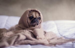 17 березня в Україні похолоднішає до +4°: де температура знизиться найбільше 17-березня-в-Україні-похолоднішає-до-+4°:-де-температура-знизиться-найбільше