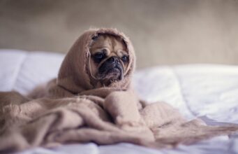 17 березня в Україні похолоднішає до +4°: де температура знизиться найбільше 17-березня-в-Україні-похолоднішає-до-+4°:-де-температура-знизиться-найбільше