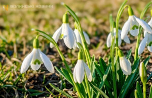 У неділю в Луцьку зафіксували другий температурний рекорд березня У-неділю-в-Луцьку-зафіксували-другий-температурний-рекорд-березня