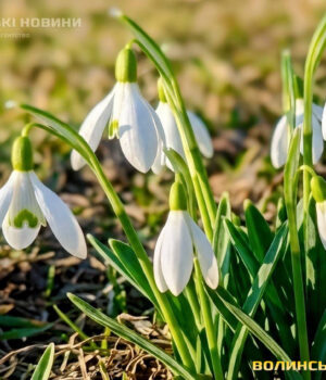 У-неділю-в-Луцьку-зафіксували-другий-температурний-рекорд-березня