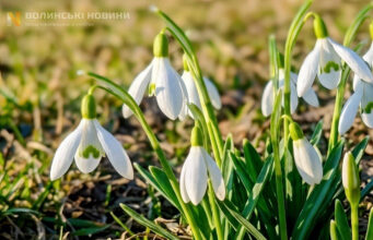 У неділю в Луцьку зафіксували другий температурний рекорд березня У-неділю-в-Луцьку-зафіксували-другий-температурний-рекорд-березня