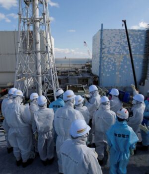 У-смертельно-радіоактивній-воді-під-“Фукусімою”-вирує-життя:-що-виявили-вчені