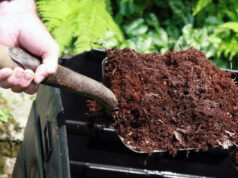 Вимоги до застосування органічних добрив у Нововолинській громаді Вимоги-до-внесення-органічних-добрив-у-Нововолинській-громаді:-що-потрібно-знати