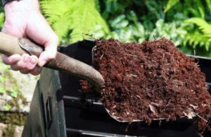 Вимоги до застосування органічних добрив у Нововолинській громаді Вимоги-до-внесення-органічних-добрив-у-Нововолинській-громаді:-що-потрібно-знати