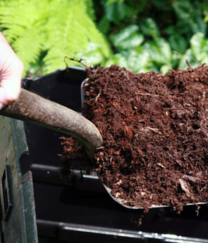 Вимоги-до-внесення-органічних-добрив-у-Нововолинській-громаді:-що-потрібно-знати