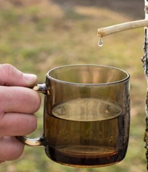 Просять-до-80-грн-за-літр:-на-Волині-зросли-ціни-на-березовий-сік