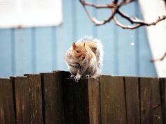 18 березня по всій Україні стане холодніше 18-березня-по-всій-Україні-стане-холодніше