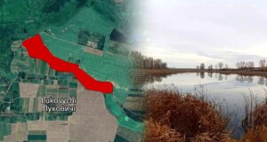 На Волині сільрада здала в оренду ставки на 41 гектарі київському юристу На-Волині-сільрада-здала-в-оренду-ставки-на-41-гектарі-київському-юристу