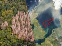 Вчені виявили “загублений світ” на дні Північного моря Вчені-виявили-“загублений-світ”-на-дні-Північного-моря