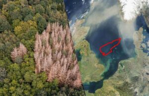 Вчені виявили “загублений світ” на дні Північного моря Вчені-виявили-“загублений-світ”-на-дні-Північного-моря