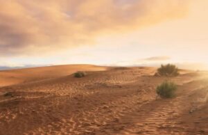 У пустелі знайшли людські сліди, яким 120 тисяч років: чому це здивувало вчених У-пустелі-знайшли-людські-сліди,-яким-120-тисяч-років:-чому-це-здивувало-вчених