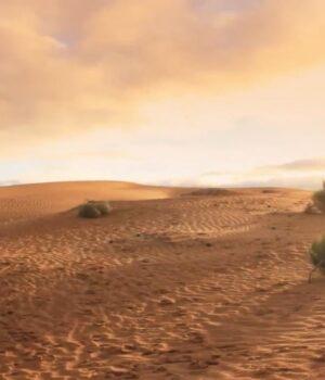 У-пустелі-знайшли-людські-сліди,-яким-120-тисяч-років:-чому-це-здивувало-вчених