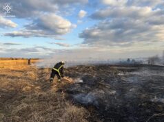 Рятувальники склали на волинянку протокол, бо підпалила суху траву Рятувальники-склали-на-волинянку-протокол,-бо-підпалила-суху-траву