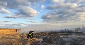 Рятувальники склали на волинянку протокол, бо підпалила суху траву Рятувальники-склали-на-волинянку-протокол,-бо-підпалила-суху-траву