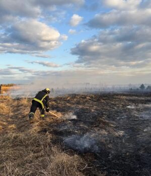 Рятувальники-склали-на-волинянку-протокол,-бо-підпалила-суху-траву