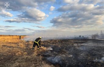 Рятувальники склали на волинянку протокол, бо підпалила суху траву Рятувальники-склали-на-волинянку-протокол,-бо-підпалила-суху-траву