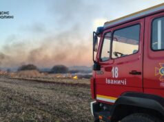 У березні на Волині вже сталося 150 пожеж сухої трави У-березні-на-Волині-вже-сталося-150-пожеж-сухої-трави